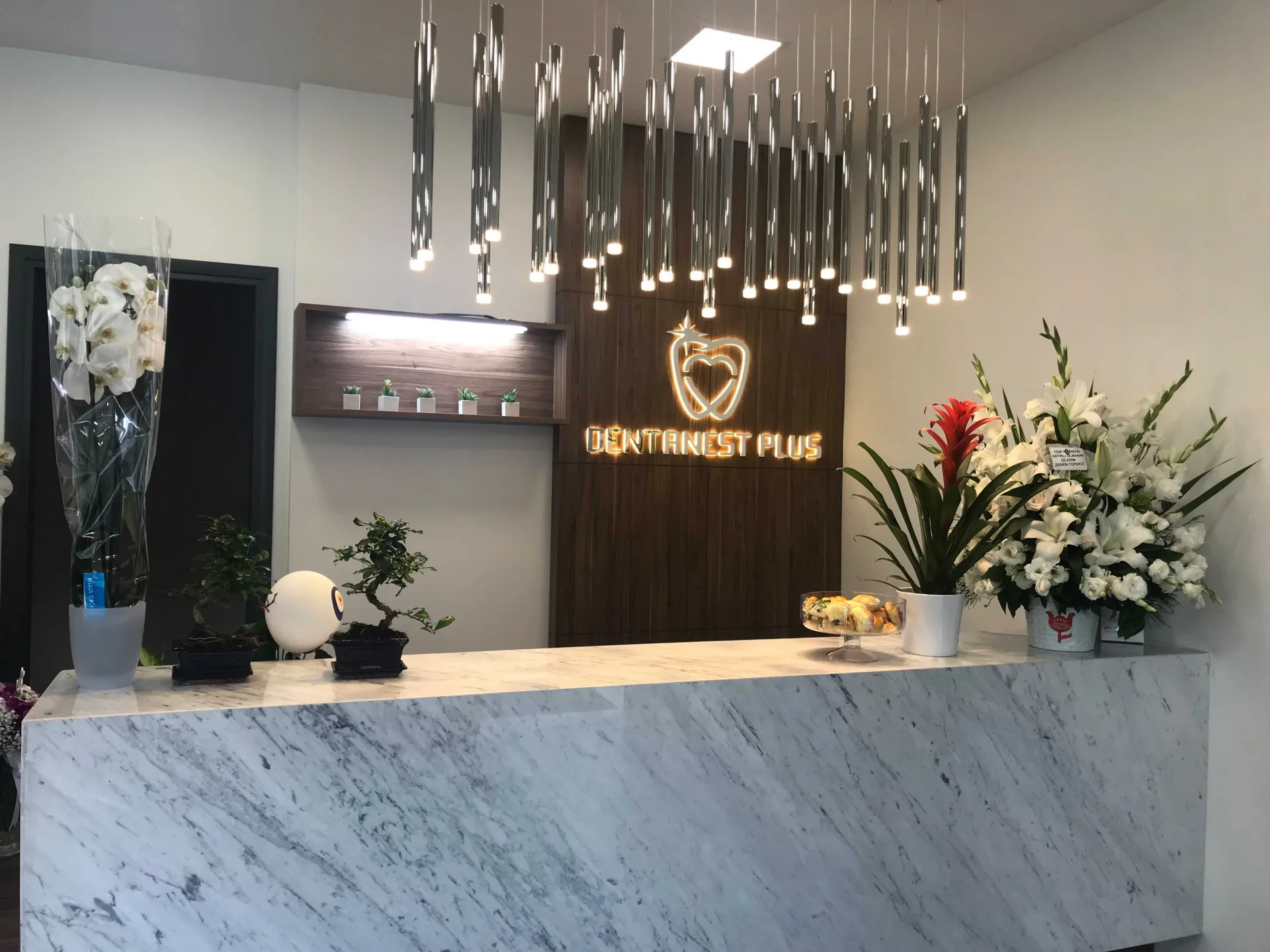 Dentanest Plus Ağız ve Diş Sağlığı Merkezi