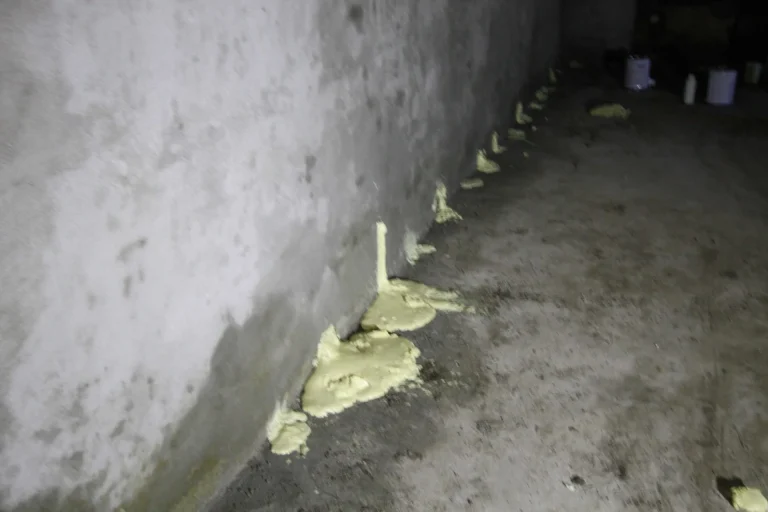 İzolasyon Çalışmalari