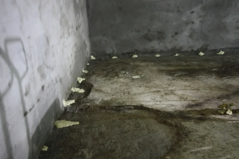 İzolasyon Çalışmalari